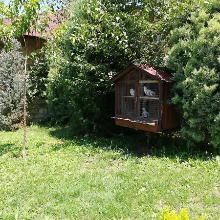 My House 2* Kurdzhali