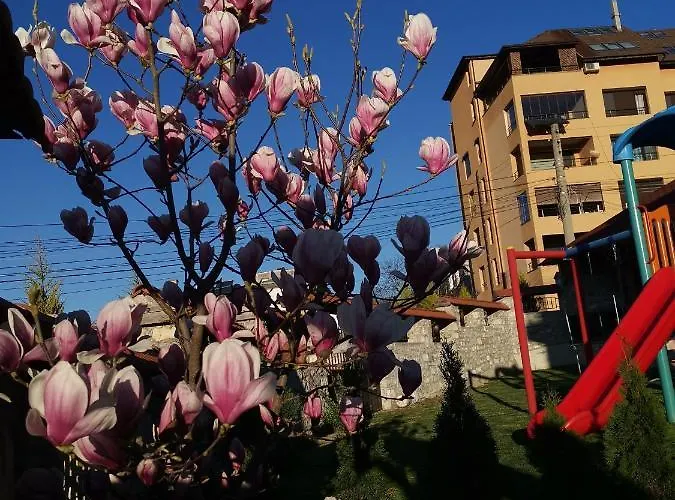 My House Hotel Kurdzhali